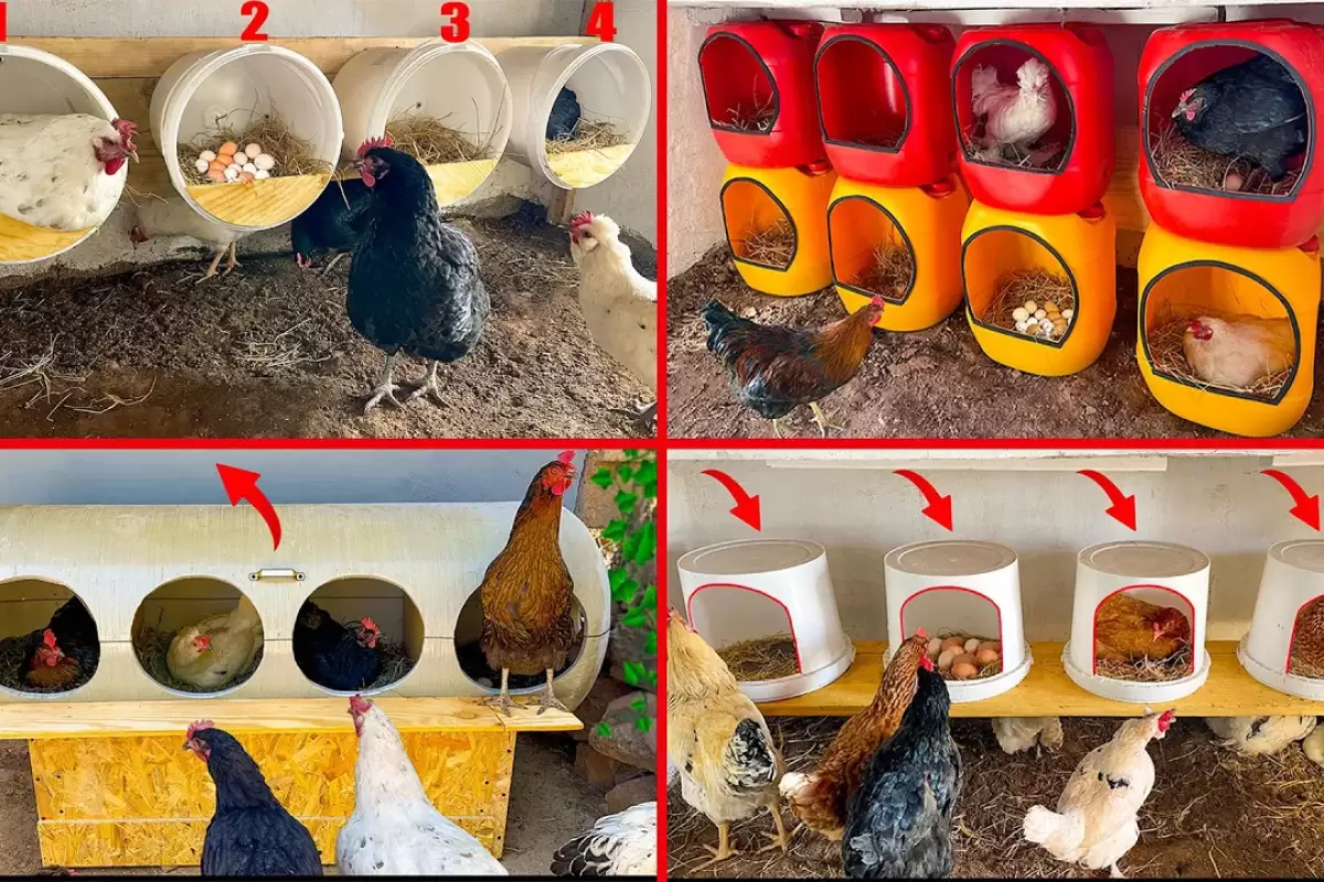 (ویدئو) 4 ایده کاربردی و ارزان برای ساخت لانه مرغ با سطل و دبه های پلاستیکی