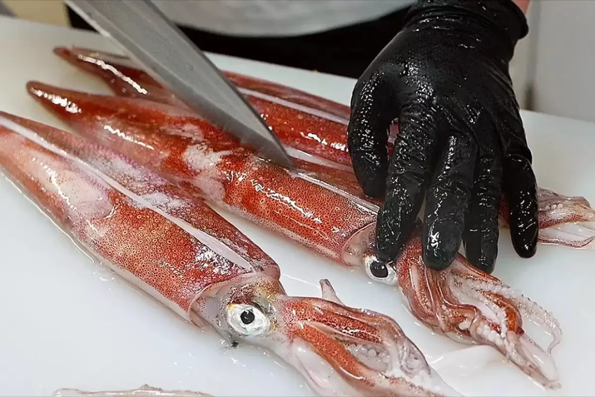 (ویدئو) غذای دریایی در ژاپن؛ نمایی از پخت اختاپوس، ماهی مرکب و سرو سوشی