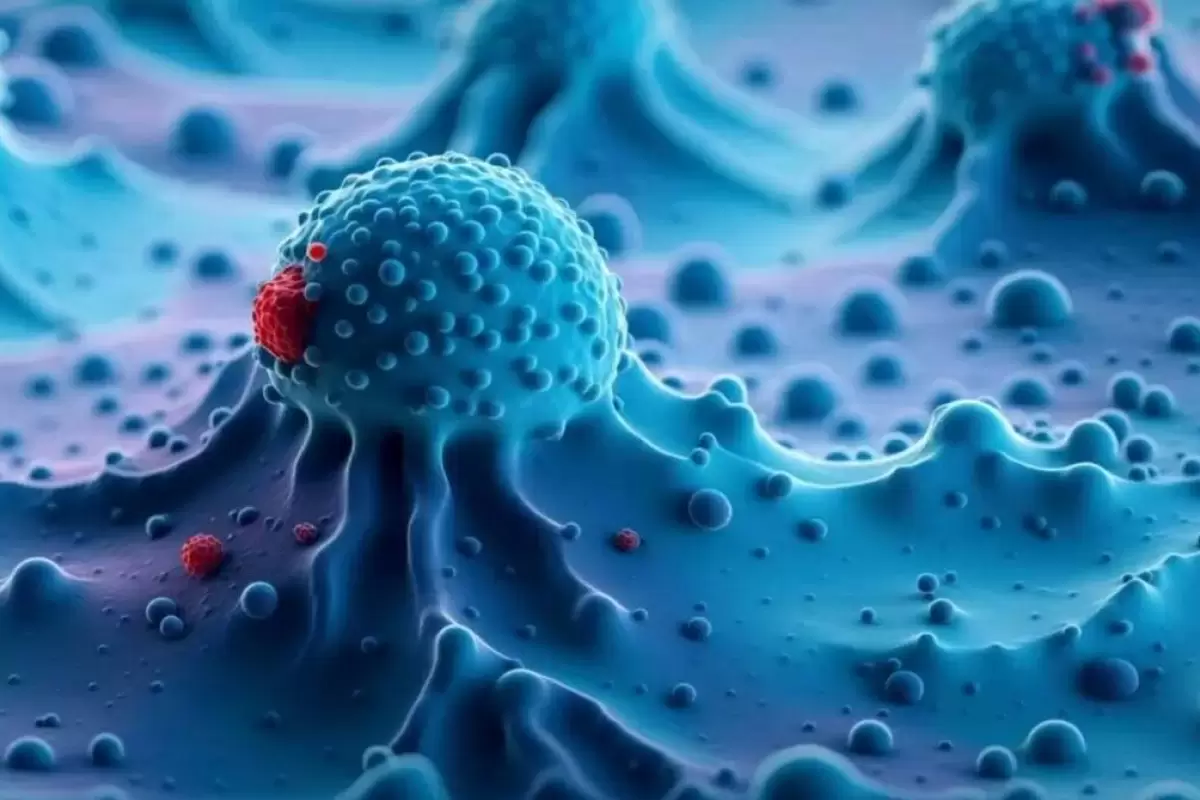 فناوری جدیدی برای دیدن درون سلول‌های سرطانی