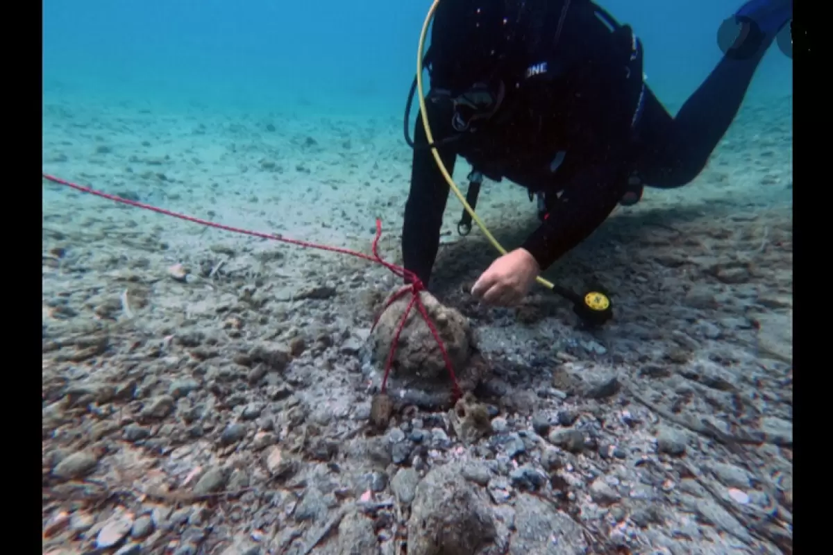 (تصاویر) سنگ عجیب کشف شده در کف دریا «کلاه‌خود» از آب درآمد