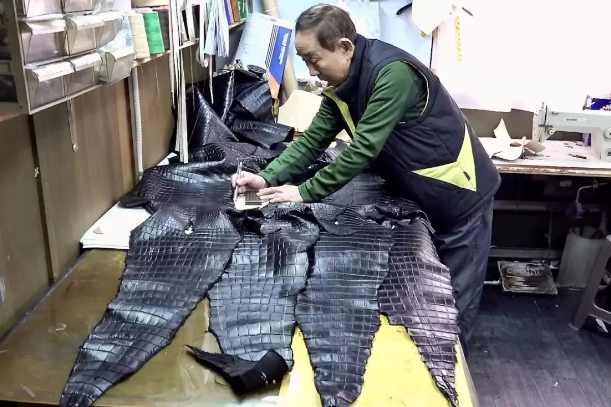 (ویدئو) نحوه تبدیل کردن پوست کروکودیل به کاپشن گران قیمت توسط استاد کره ای