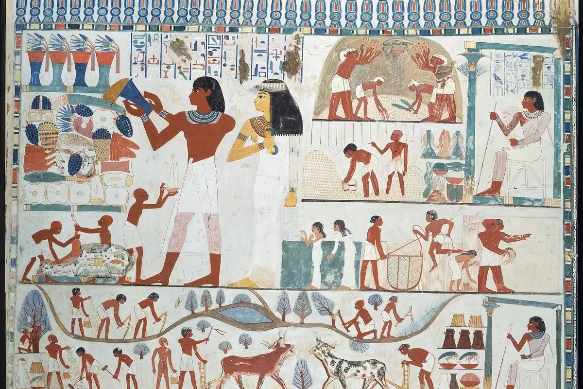 از معافیت تا کندن بینی! مصریان باستان چگونه مالیات می‌گرفتند؟