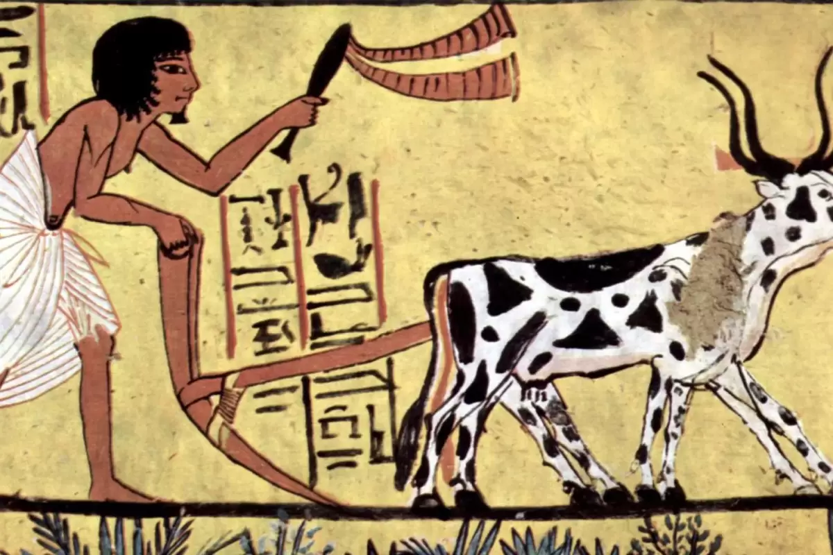 انسان‌ها قبل از عصر کشاورزی چه می‌خوردند؟