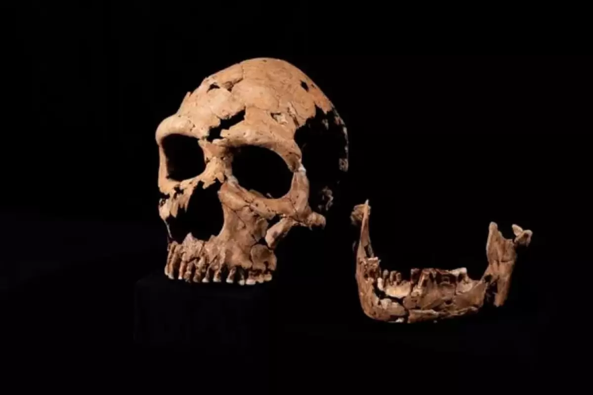 (عکس) محققان چهره یک زن نئاندرتال زاگرسی ۷۵ هزار ساله را بازسازی کردند