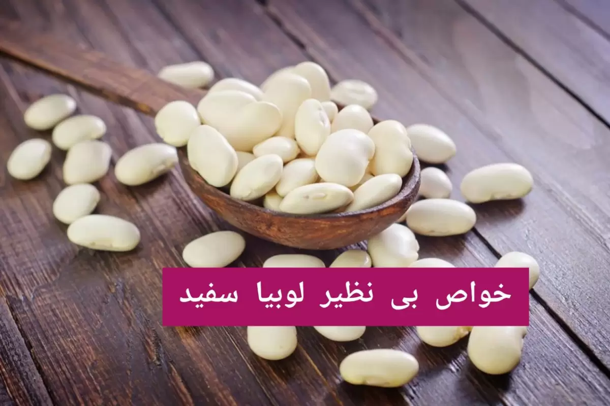 خواص بی نظیر لوبیا سفید با مضرات، طبع،کالری و ارزش غذایی