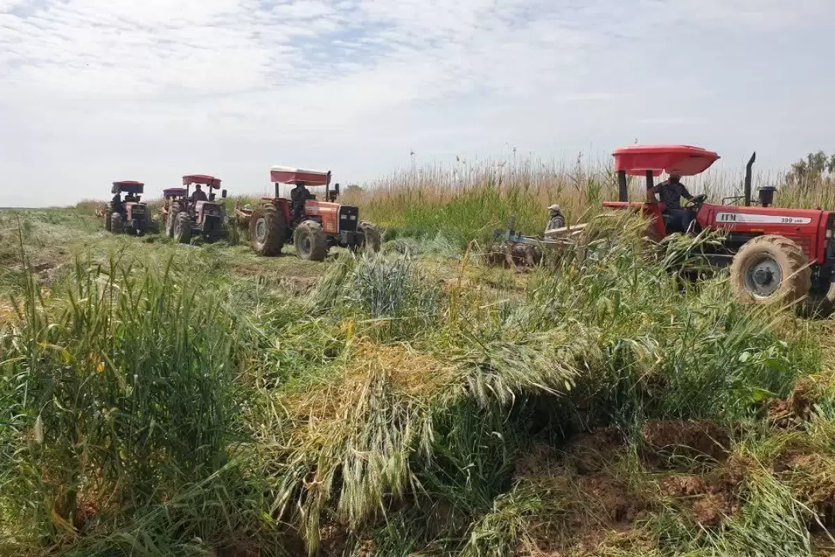 اجرای فاز سوم امحای مزارع آبیاری شده با فاضلاب در شیراز