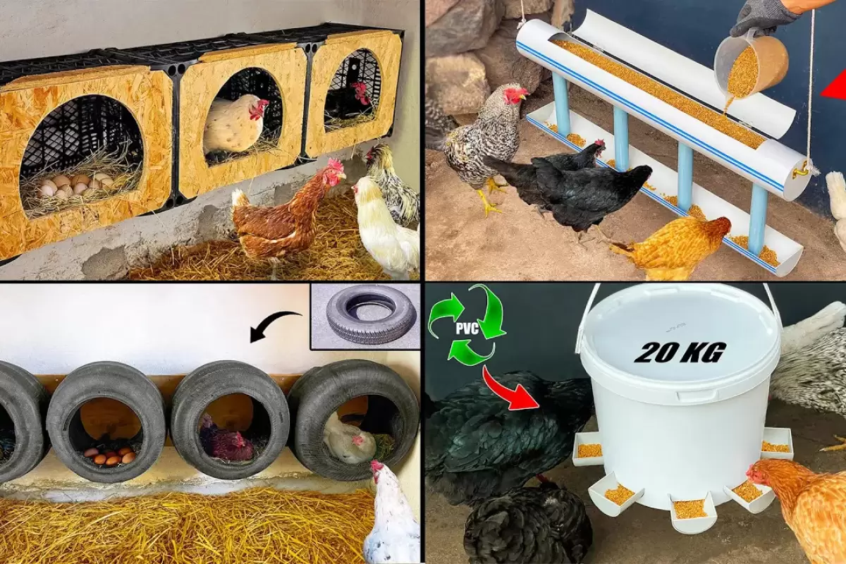 (ویدئو) 4 ایده فوق العاده برای ساخت لانه و دانخوری مرغ