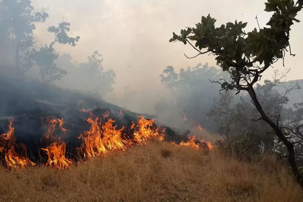 (ویدیو) جزییات آتش‌سوزی مراتع سرپل‌ذهاب