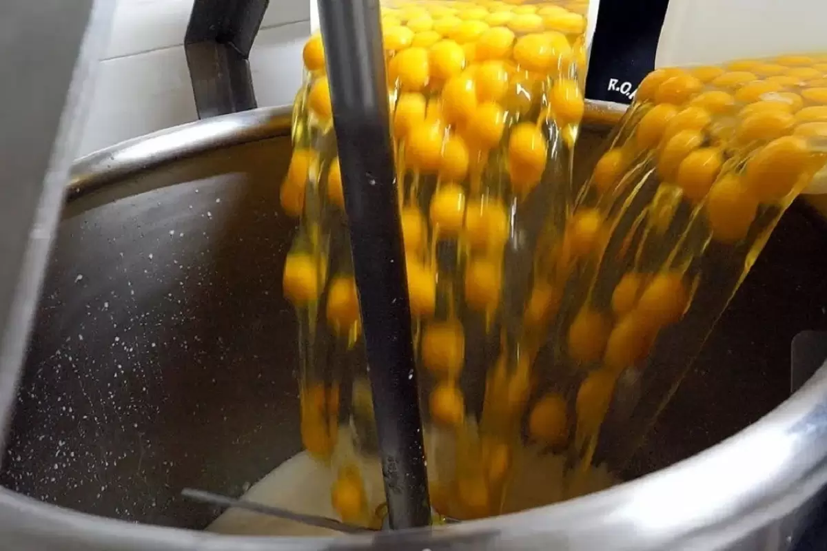 (ویدیو) غذای خیابانی در کره؛ پخت وافل خانگی با ۳۰۰ تخم‌مرغ