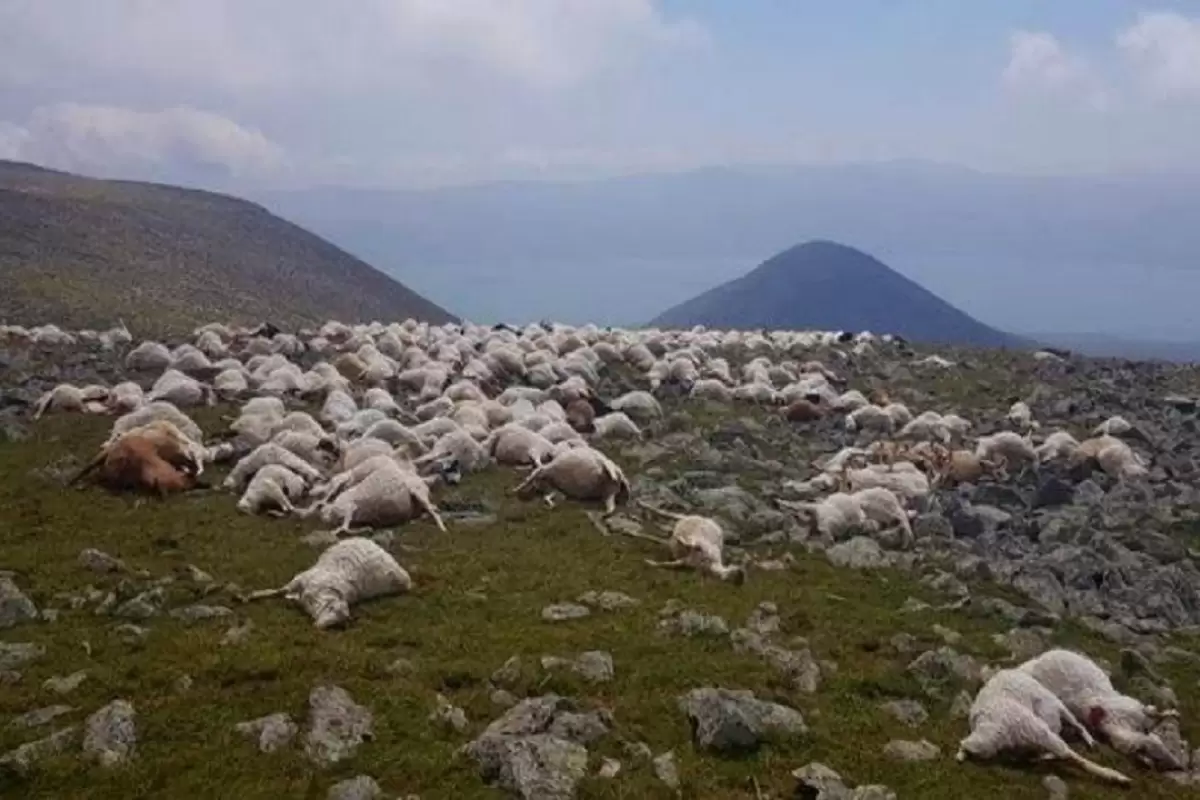 (عکس) سفر به ایران قدیم؛ صاعقه گاو و گوسفندهای این روستا را خشک کرد!