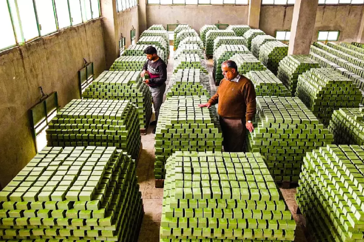 (ویدئو) نحوه تولید میلیون ها صابون زیتون در یک کارخانه مشهور سوری