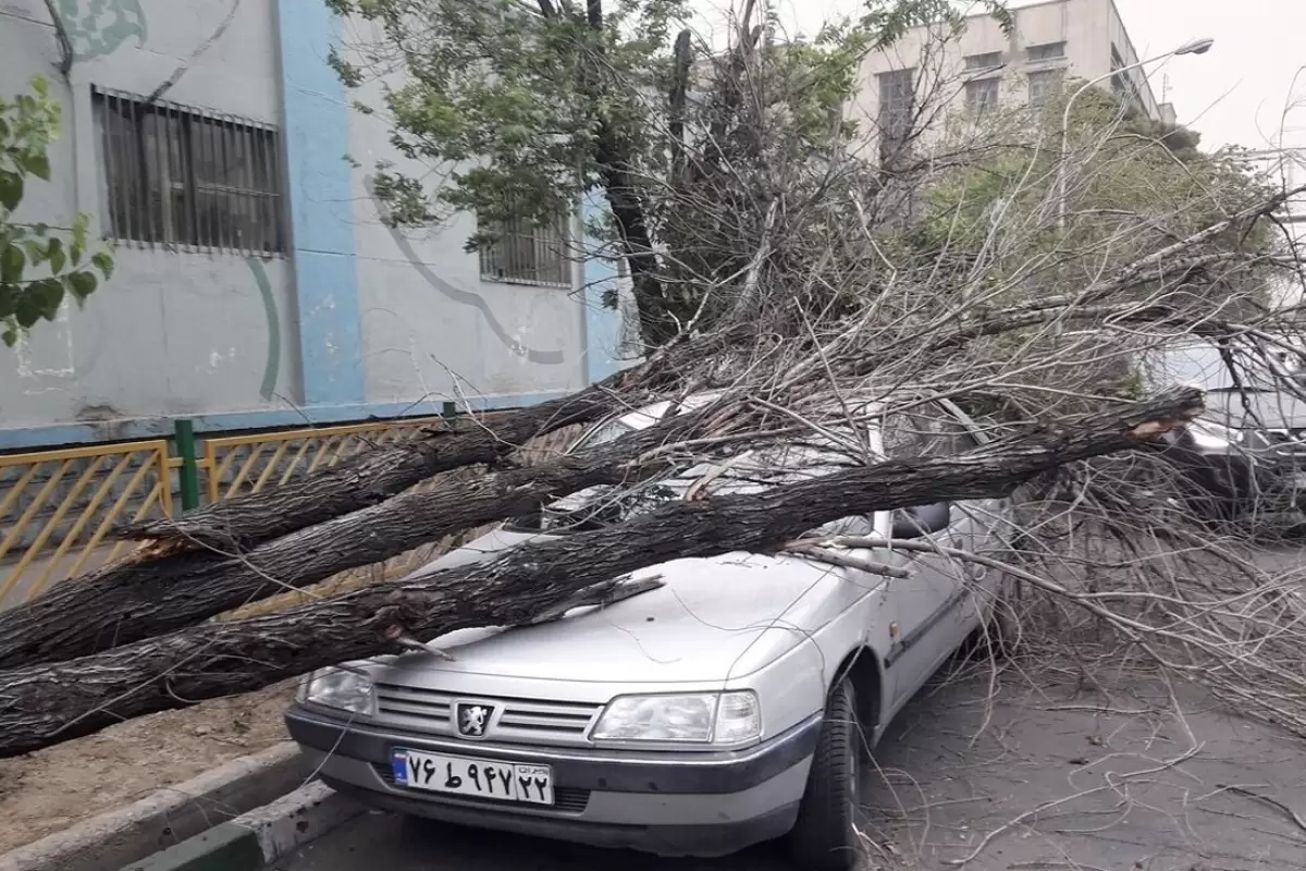 تندباد در اصفهان؛ سقوط ۵۴ درخت و خسارت به ۱۶ خودرو