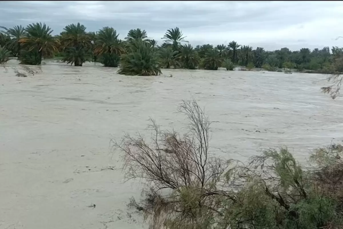 ببینید |  بارش شدید باران و جاری‌شدن روان‌آب در جای‌جای استان مرکزی