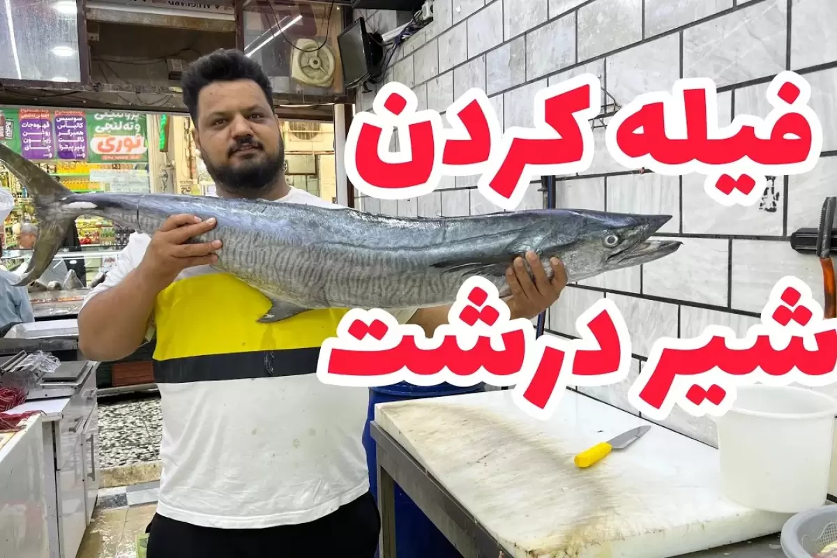 (ویدئو) نکات مهم فیله کردن ماهی شیر جنوب که شما را به مرحله استادی می رساند