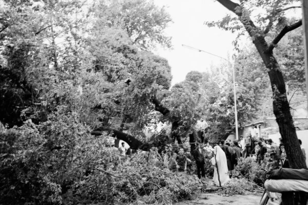 (تصاویر) سفر به تهران قدیم؛ توفان درخت‌های تهران را از ریشه درآورد!