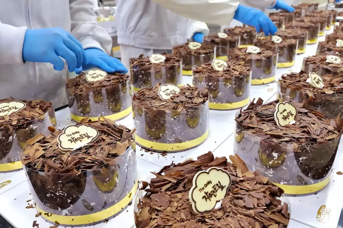 (ویدئو) چگونه کیک شکلاتی معروف کره ای را در کارخانه  درست می کنند؟
