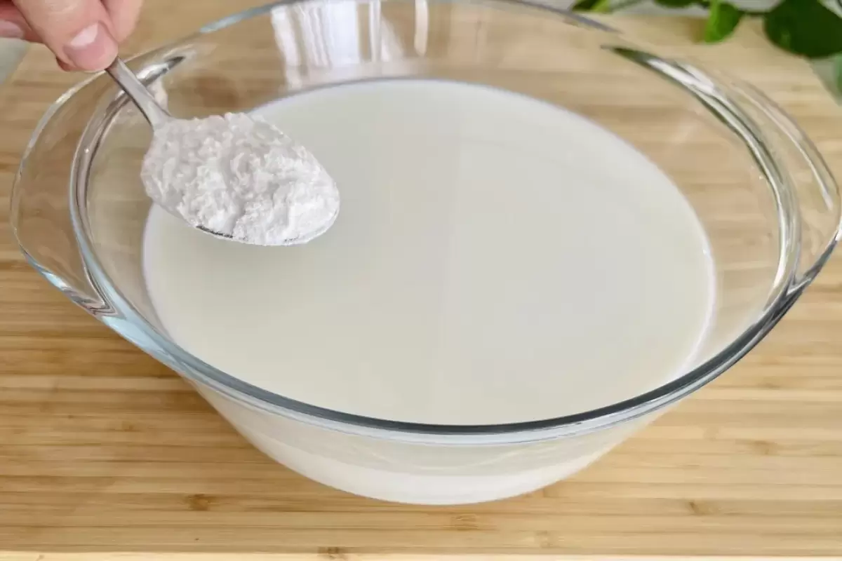 (ویدئو) نحوه درست کردن ماست سنگی در خانه به سبک آشپز اماراتی