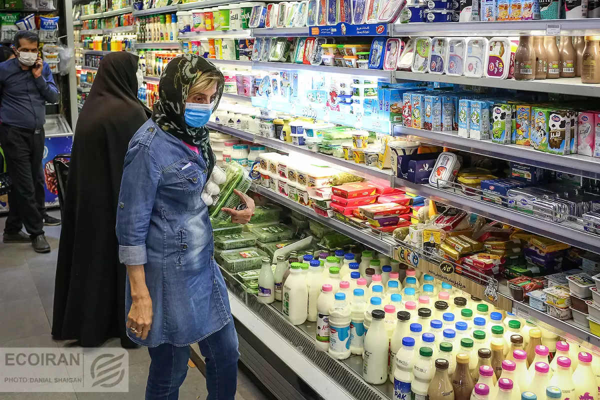 ایران در رتبه 23 تولید شیر جهان؛ صادرات 14 درصد افزایش یافت