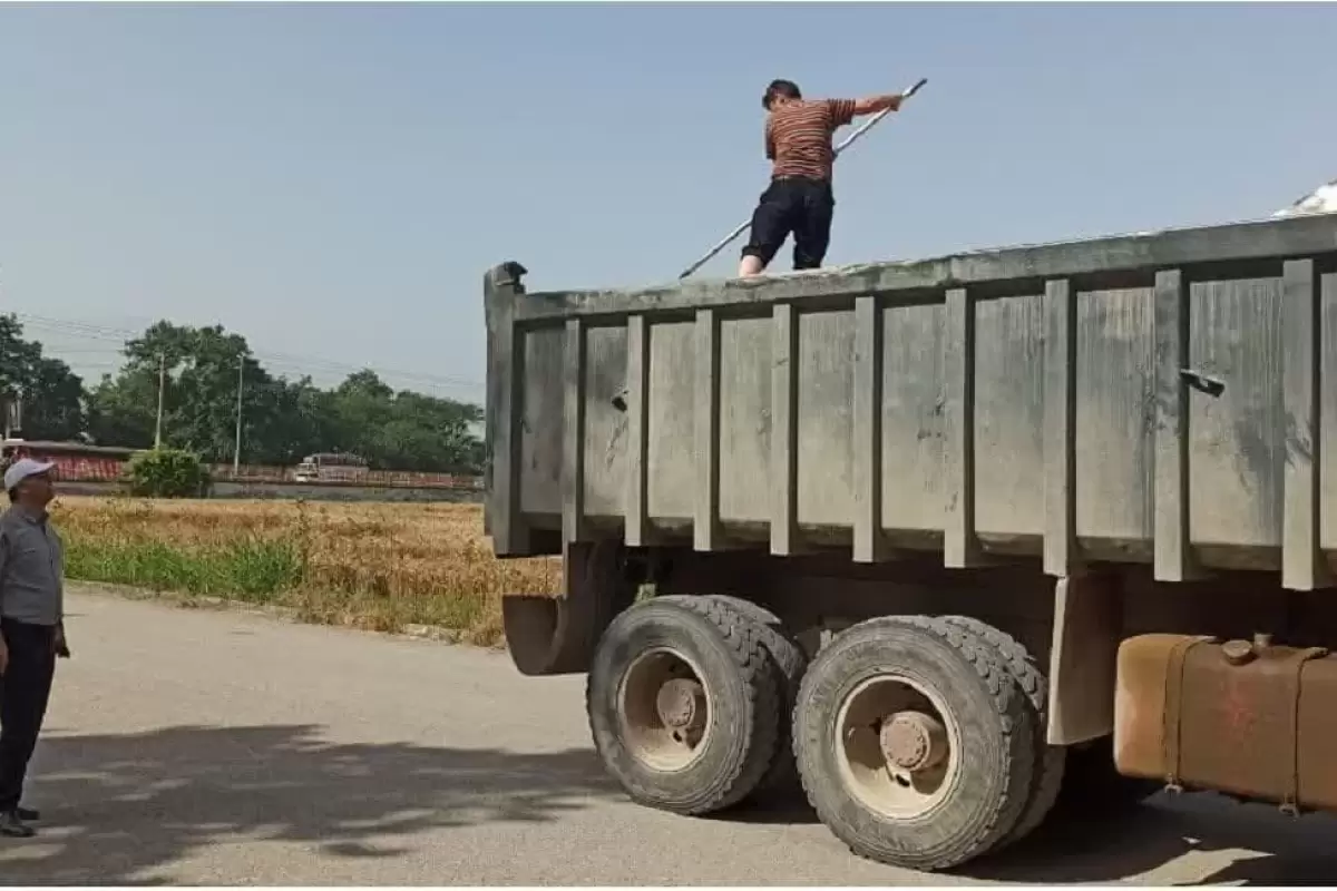 آغاز به کار مرکز خرید بذر تکثیری گندم گواهی شده و مادری شرکت خدمات حمایتی کشاورزی گلستان