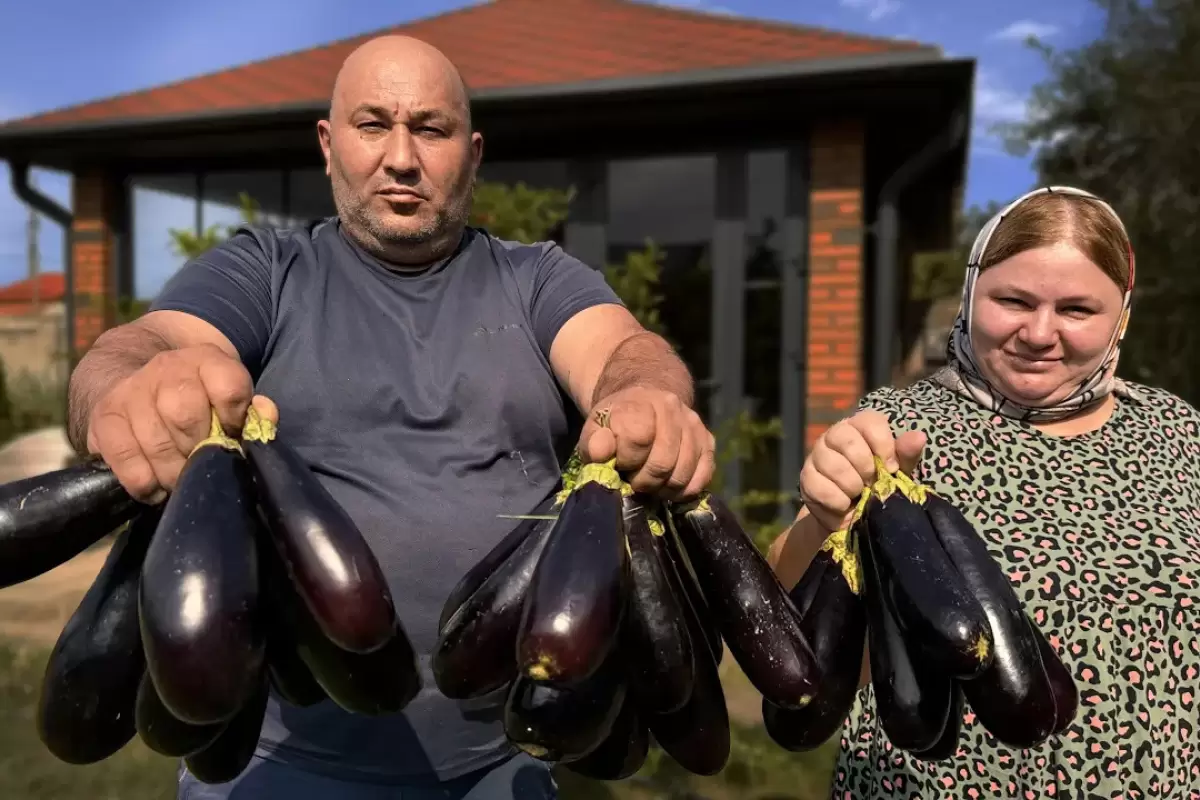 (ویدئو) پخت بادمجان شکم پر  به روش زوج روستایی اهل داغستان