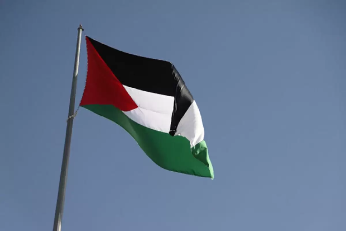 ببینید | لحظه تکان‌دهنده برق‌گرفتگی و سوختن مرد جوان حین برافراشتن پرچم فلسطین بالای تیر برق