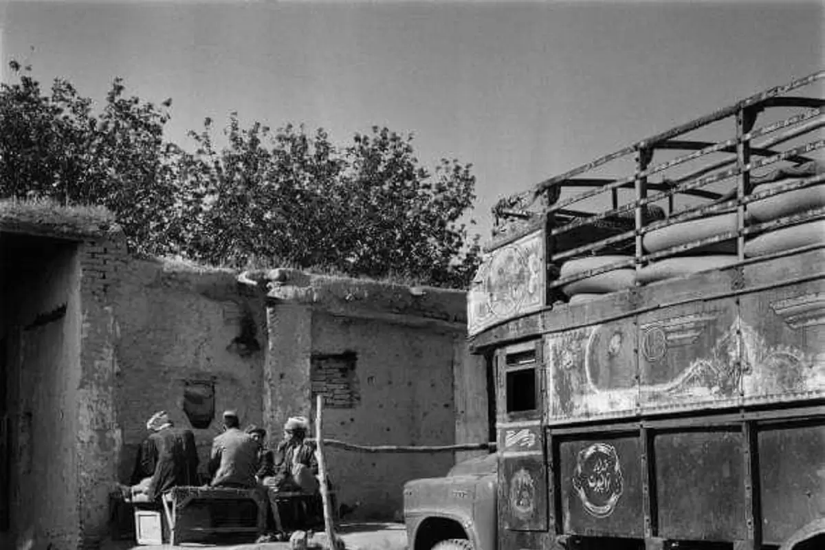 (تصاویر) سفر به ایران قدیم؛ یک گرگ وحشی در کرمانشاه ۲۶ نفر را مجروح کرد!