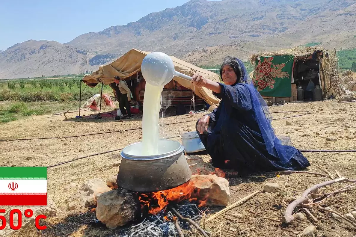 (ویدئو) ببینید چگونه زنان عشایر با شیر تازه، ماست سنتی درست می کنند