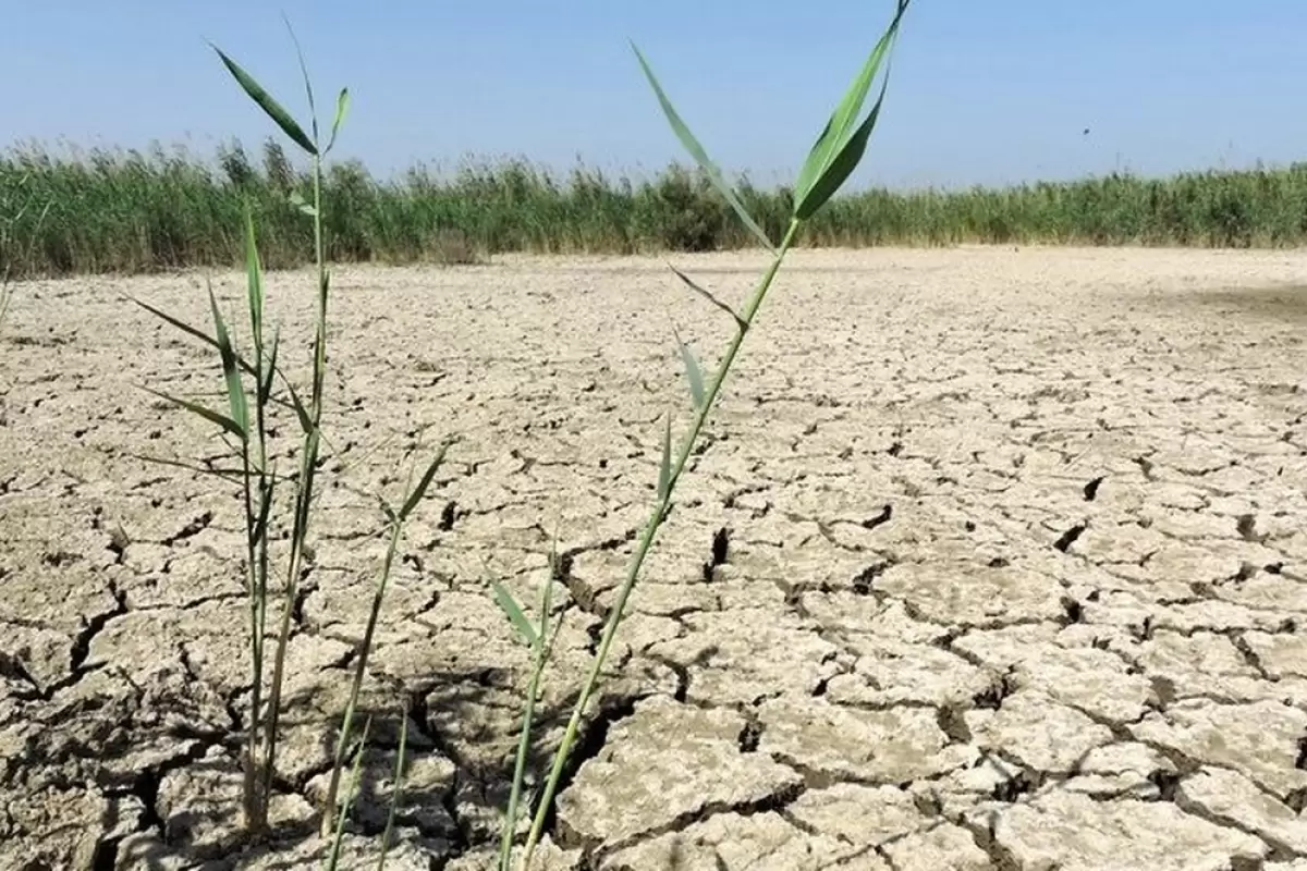 ۹ تالاب ایران بیابان شد