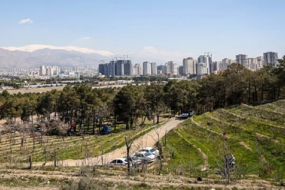 معمای کشف جسدی در پارک چیتگر