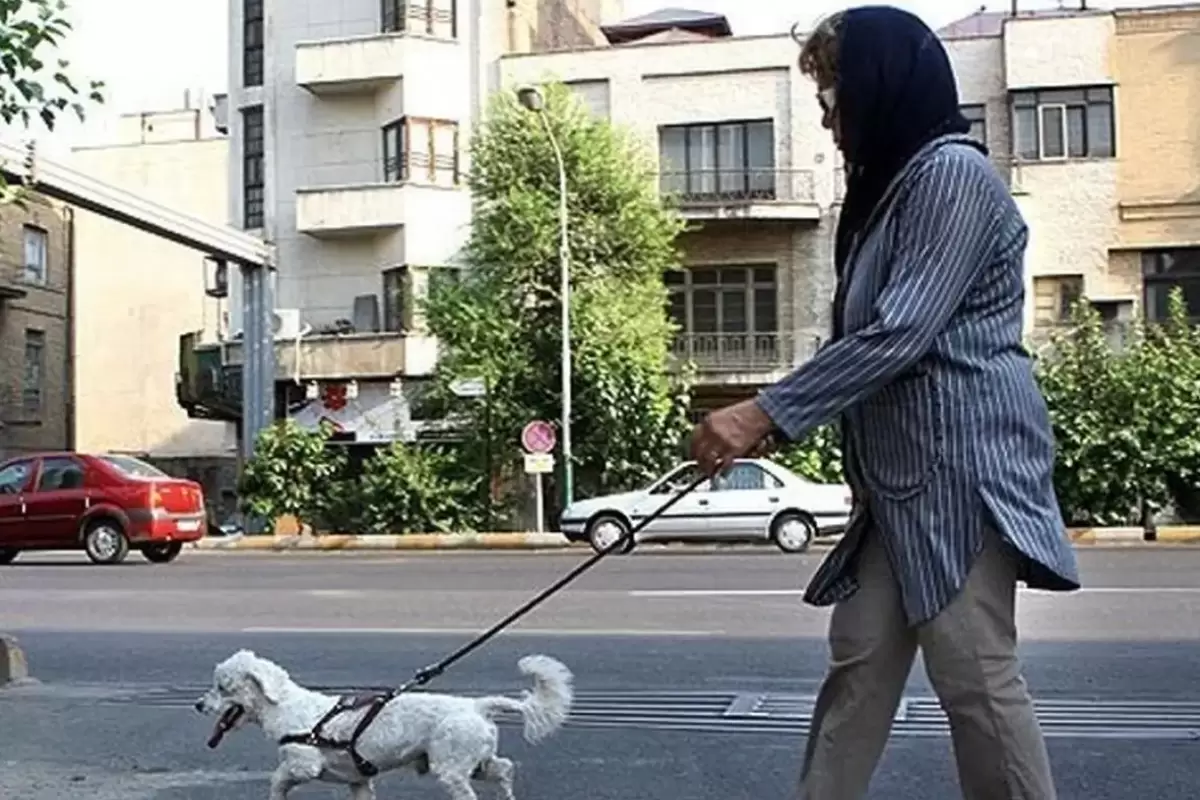 شیوع بیماری سالک به دلیل نگهداری سگ و گربه