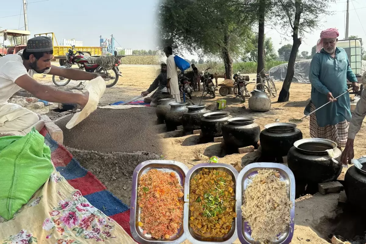 (ویدئو) غذای خیابانی در پاکستان؛ پخت کباب، بریانی و پلو موتنجان
