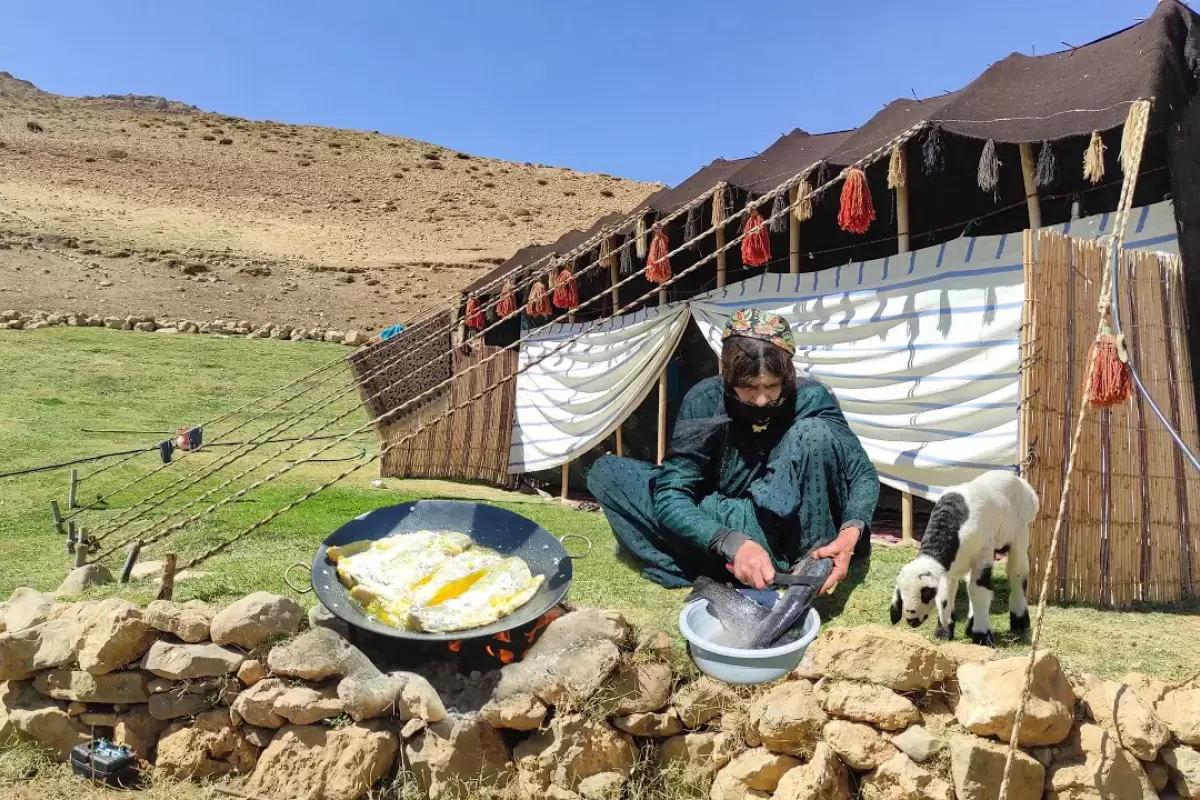 (ویدئو) نحوه پخت غذا با «ماهی قزل آلا» به روش عشایر قشقایی