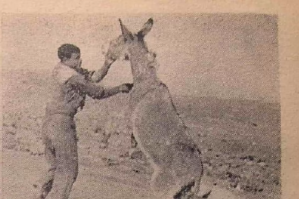 (عکس) سفر به ایران قدیم؛ بالاخره تصویر «اصغر خرکُش» جلاد الاغ‌ها منتشر شد!