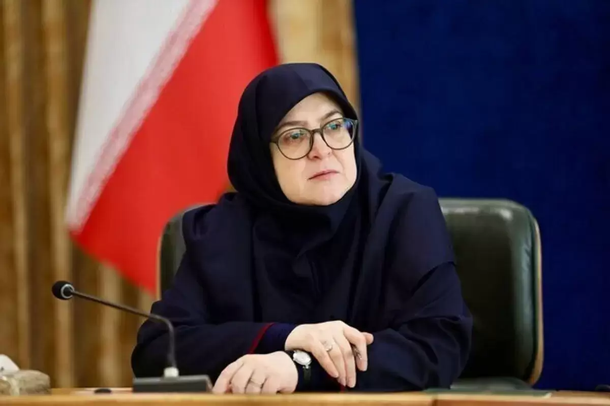 مهاجرانی: دولت وفاق فعلا قصد  شکایت از تجمع‌کنندگان علیه ظریف را ندارد