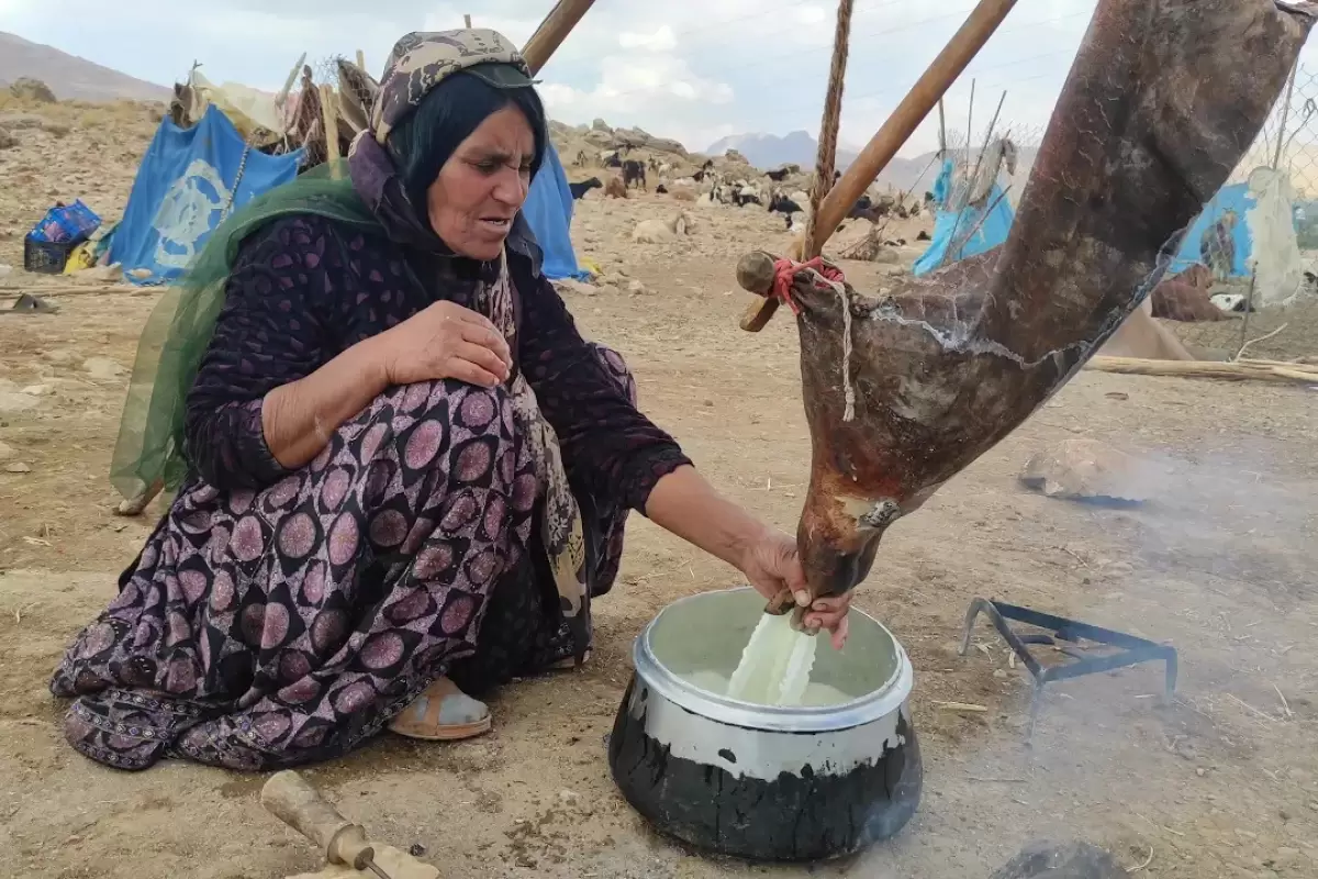 (ویدئو) عشایر ایرانی چگونه دوغ و کره را به روش سنتی آماده می کنند؟