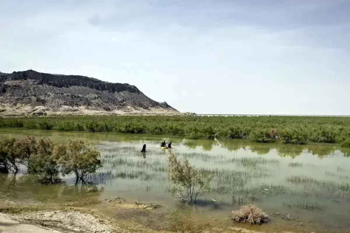 تالاب هامون پر آب شد