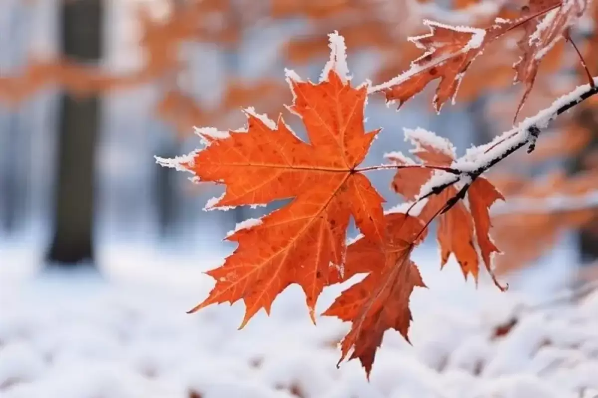 پیش‌بینی هوای کردستان فردا سه شنبه 30 بهمن/ تداوم سرما و یخبندان