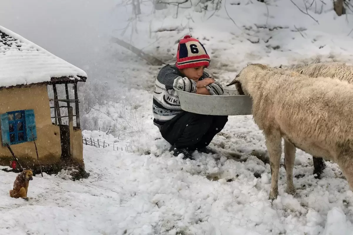 (ویدئو) غذای روستایی در ایران؛ پخت نان سنتی و یک غذای محلی با مرغ