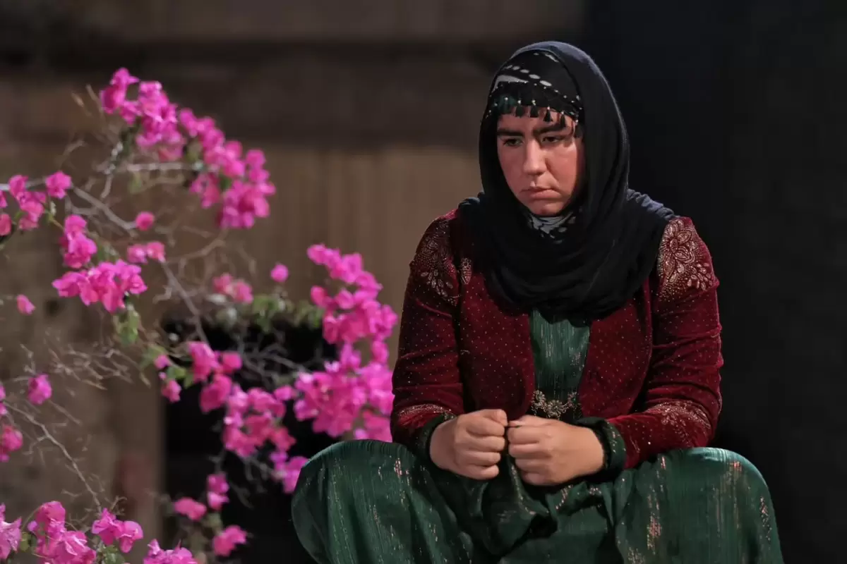 (عکس) «روناک، رونی کلمن دایی» سریال نون خ بعد 3 سال؛ صهبا شرافتی در 28 سالگی