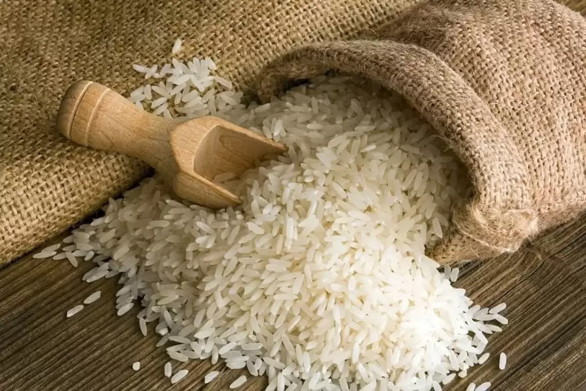 احتکار دلیل اصلی افزایش قیمت برنج است+ویدئو