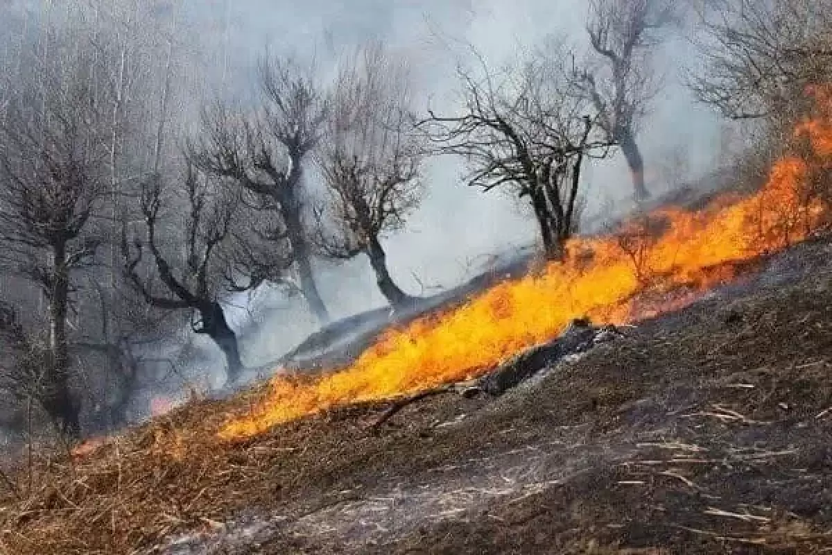 هشدار آتش‌سوزی در جنگل‌های مازندران