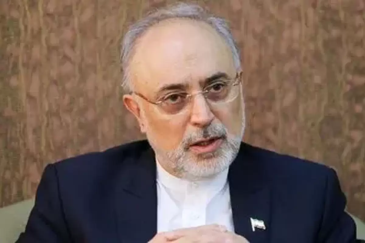 انتصاب علی‌اکبر صالحی به ریاست بنیاد ایران‌شناسی
