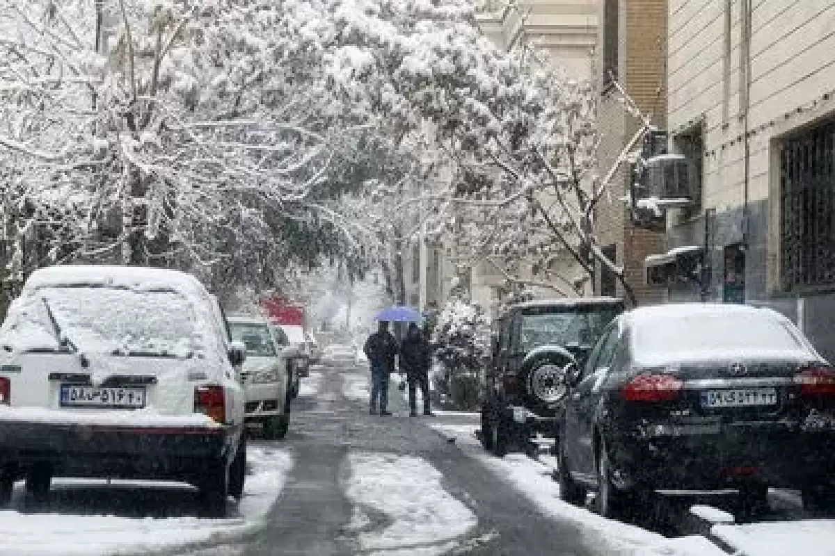 برف بهاری در تاکستانِ قزوین+ویدئو