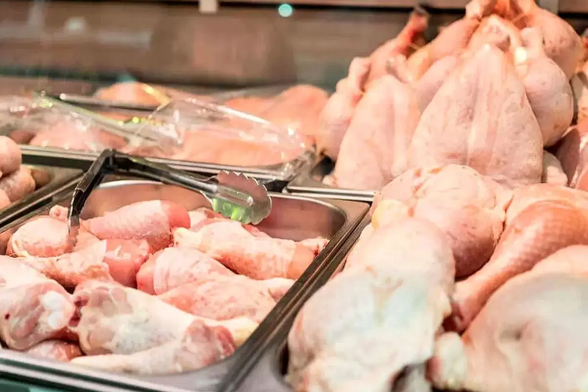 قیمت انواع گوشت مرغ؛ چهارشنبه ۶ فروردین ۱۴۰۴