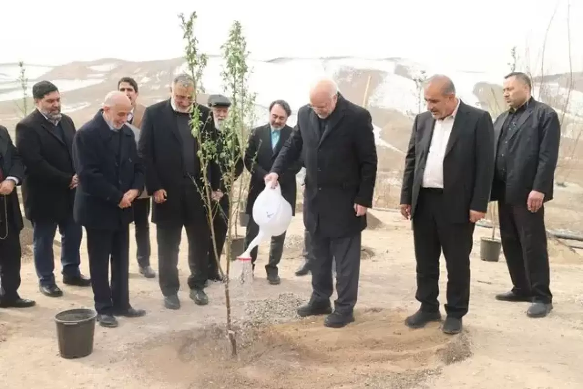 قالیباف یک اصله نهال مثمر را در شرق شهر تهران غرس کرد