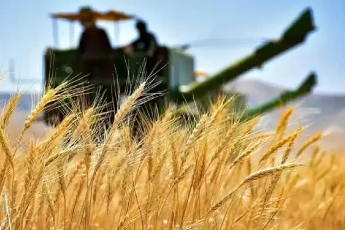 واکنش فاضلی به ادعای یک نماینده مبنی بر اینکه عربستان بزرگترین صادرکننده گندم به جان است؛ همین قدر بی‌اطلاع و مخرب به حال مملکت هستند!
