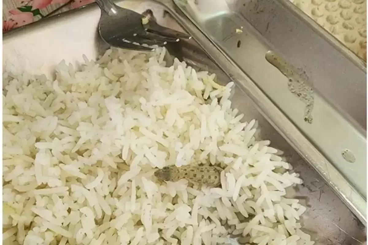 صف۲۰۰ متری غذاها پس از پیدا شدن مارمولک