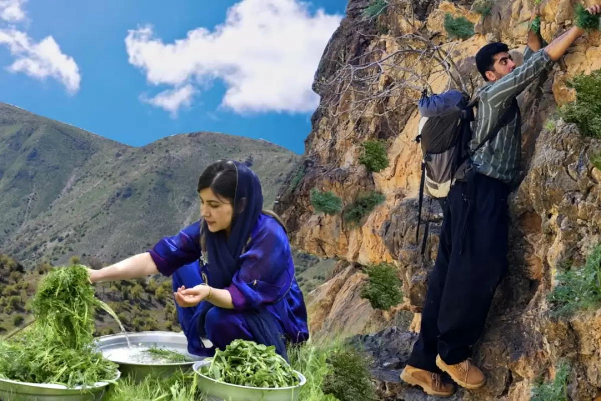 ببینید؛ غذای روستایی در ایران؛ پخت قورمه سبزی با سبزی کوهی در روستایی سرسبز