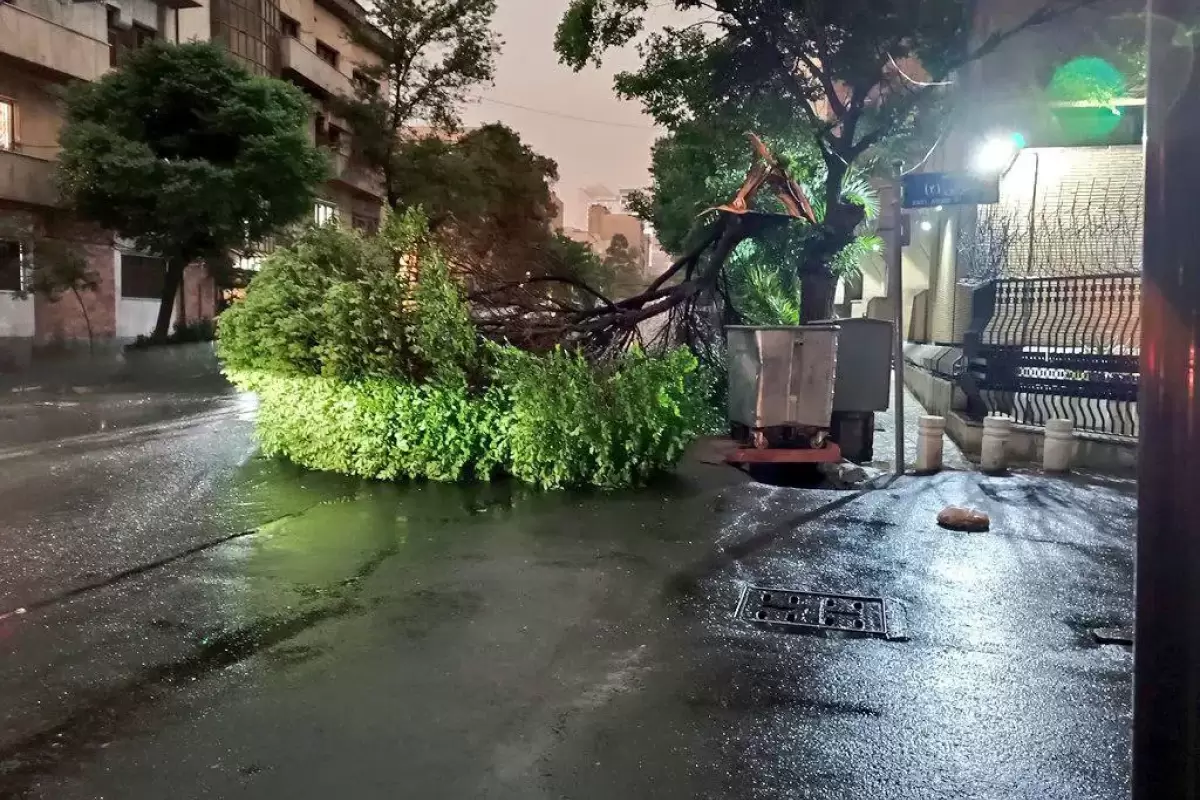 هشدار درباره ایمنی؛  اجرای ناقص قوانین