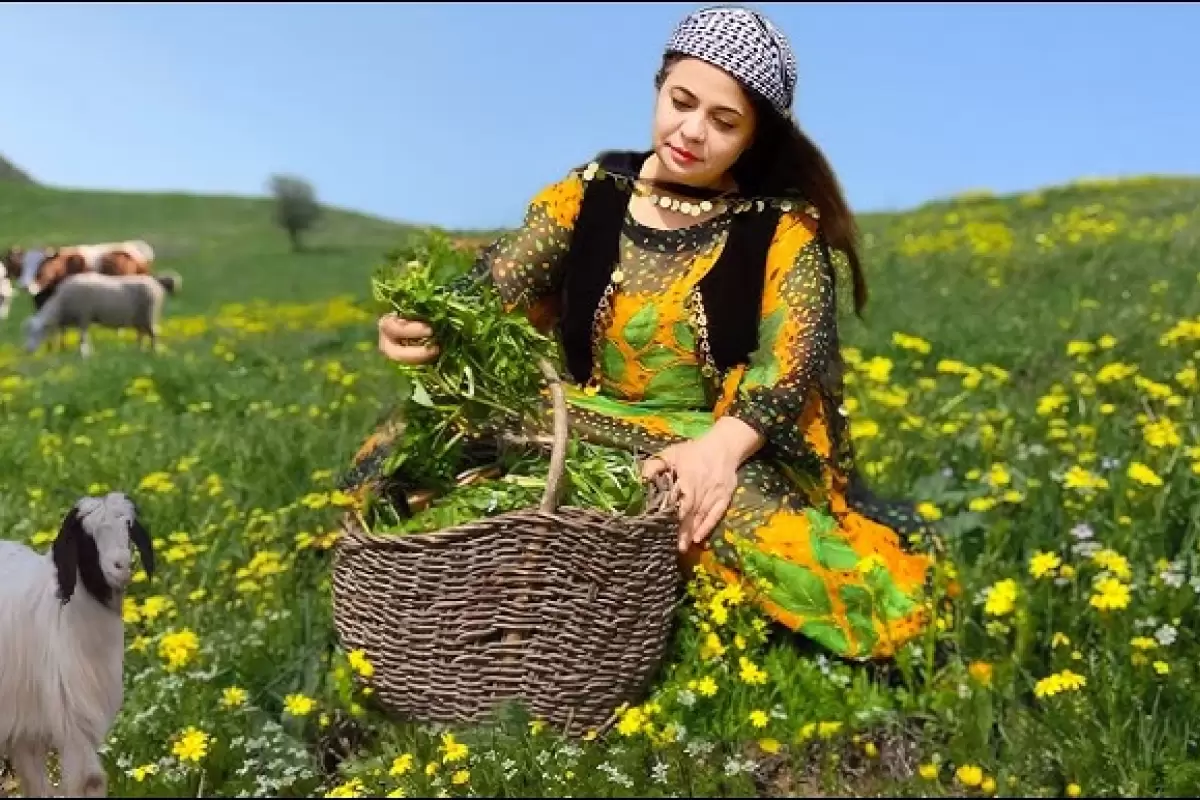 ببینید؛ غذای روستایی در ایران؛ جمع آوری سبزیجات کوهی و پخت نرگسی در طبیعت